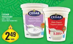 Food Basics Cedar Yogurt offer