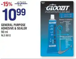 NAPA Auto Parts General purpose adhesive & sealer offer