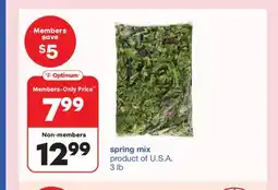 Wholesale Club Spring Mix offer