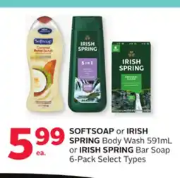 Rexall SOFTSOAP or IRISH SPRING Body Wash 591mL or IRISH SPRING Bar Soap 6-Pack offer