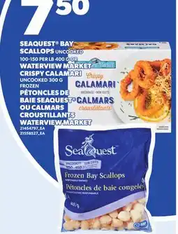 Independent City Market SEAQUEST BAY SCALLOPS, 400 G OR WATERVIEW MARKET CRISPY CALAMARI UNCOOKED, 300 G offer