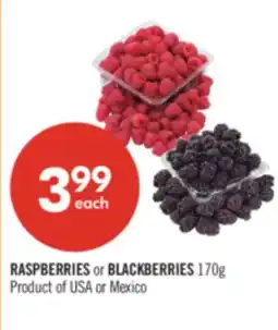 Shoppers Drug Mart RASPBERRIES or BLACKBERRIES offer