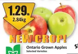 Starsky Ontario Grown Apples offer