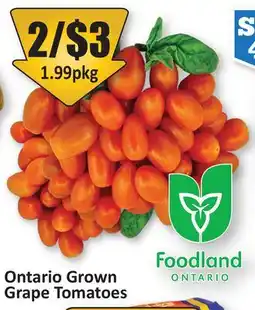Starsky Ontario Grown Grape Tomatoes offer