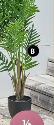 JYSK SANDER Artificial potted plant offer