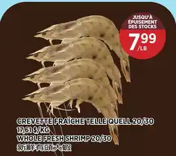 Kim Phat WHOLE FRESH SHRIMP 20/30 offer
