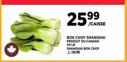 Kim Phat SHANGHAI BOK CHOY offer