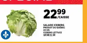 Kim Phat ICEBERG LETTUCE offer