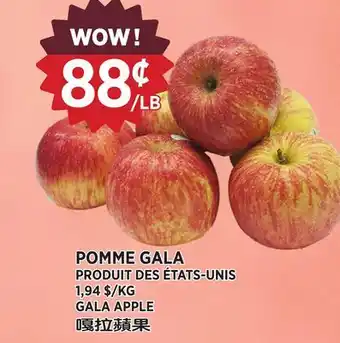 Kim Phat GALA APPLE offer