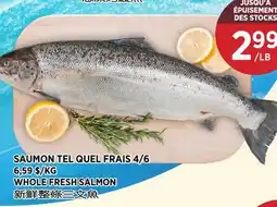 Kim Phat WHOLE FRESH SALMON offer