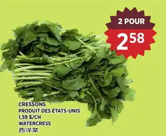 Kim Phat WATERCRESS offer