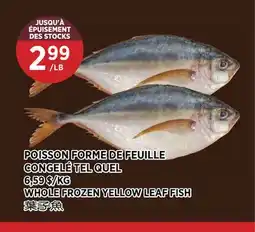Kim Phat WHOLE FROZEN YELLOW LEAF FISH offer