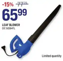NAPA Auto Parts Leaf blower offer