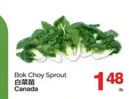 T&T Supermarket BOK CHOY SPROUT offer