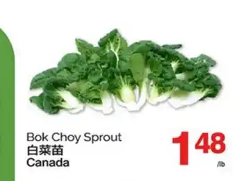 T&T Supermarket BOK CHOY SPROUT offer
