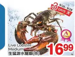 T&T Supermarket LIVE LOBSTER offer