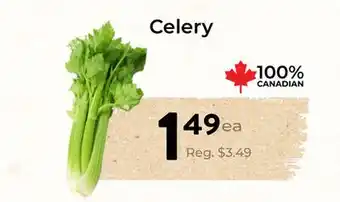 Marche Leo's Celery offer