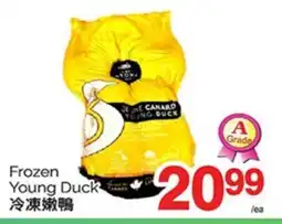 T&T Supermarket FROZEN YOUNG DUCK offer