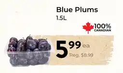 Marche Leo's Blue Plums offer