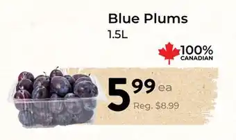 Marche Leo's Blue Plums offer