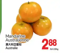 T&T Supermarket MANDARINE AUSTRALIENNE offer