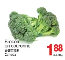 T&T Supermarket BROCOLI EN COURONNE offer