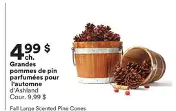 Michaels Grandes pommes de pin parfumées pour l'automne d'Ashland offer