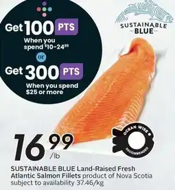 Sobeys Sustainable blue land-raised fresh atlantic salmon fillets offer