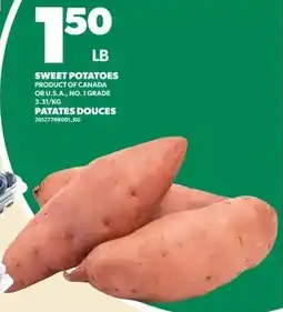 Loblaws Sweet potatoes offer