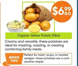 Healthy Planet Organic Yellow Potato (5lbs) offer