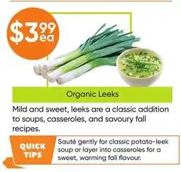Healthy Planet Organic Leeks offer