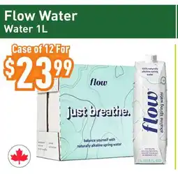 Healthy Planet Flow Water offer