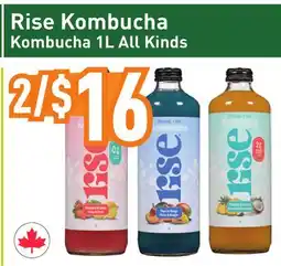 Healthy Planet Rise Kombucha offer