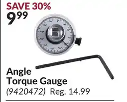 Princess Auto Angle Torque Gauge offer