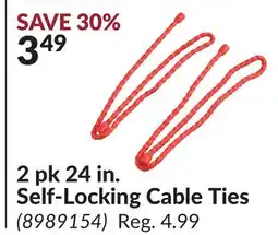 Princess Auto 2 pk 24 in. Self-Locking Cable Ties offer