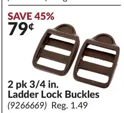 Princess Auto 2 pk 3/4 in. Ladder Lock Buckles offer