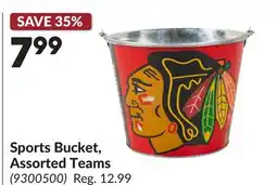 Princess Auto Sports Bucket, Assorted Teams offer