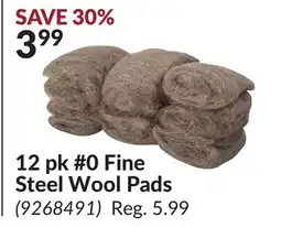 Princess Auto 12 pk #0 Fine Steel Wool Pads offer