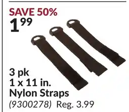 Princess Auto 3 pk 1 x 11 in. Nylon Straps offer