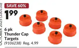 Princess Auto 6 pk Thunder Cap Targets offer