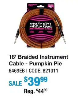 Long & McQuade 18' BRAIDED INSTRUMENT CABLE - PUMPKIN PIE offer
