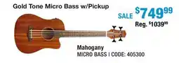 Long & McQuade Mahogany Micro Bass w/Pickup & Gigbag offer