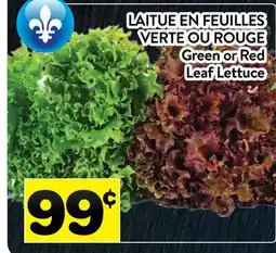 Supermarché PA LAITUE EN FEUILLES VERTE OU ROUGE | Green or Red Leaf Lettuce offer