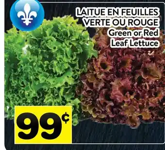 Supermarché PA LAITUE EN FEUILLES VERTE OU ROUGE | Green or Red Leaf Lettuce offer