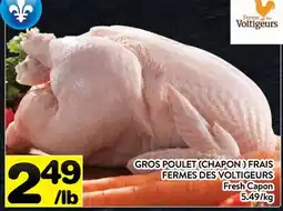 Supermarché PA GROS POULET (CHAPON ) FRAIS FERMES DES VOLTIGEURS | Fresh Capon offer