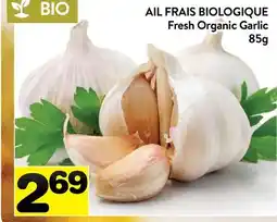 Supermarché PA AIL FRAIS BIOLOGIQUE | Fresh Organic Garlic offer