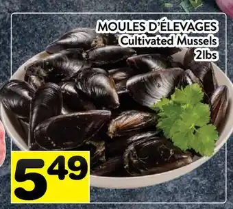 Supermarché PA MOULES D'ÉLEVAGES | Cultivated Mussels offer