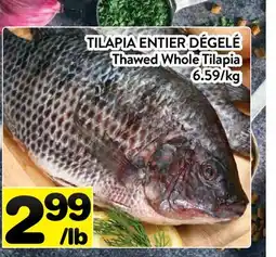 Supermarché PA TILAPIA ENTIER DÉGELÉ | Thawed Whole Tilapia offer