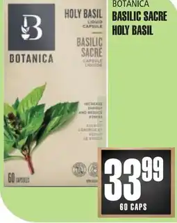 Marches Tau BASILIC SACRE BOTANICA offer