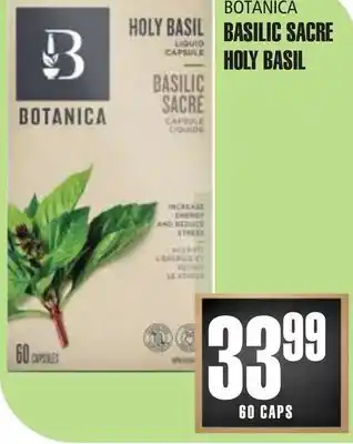 Marches Tau BASILIC SACRE BOTANICA offer
